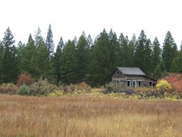 Old Log Cabin